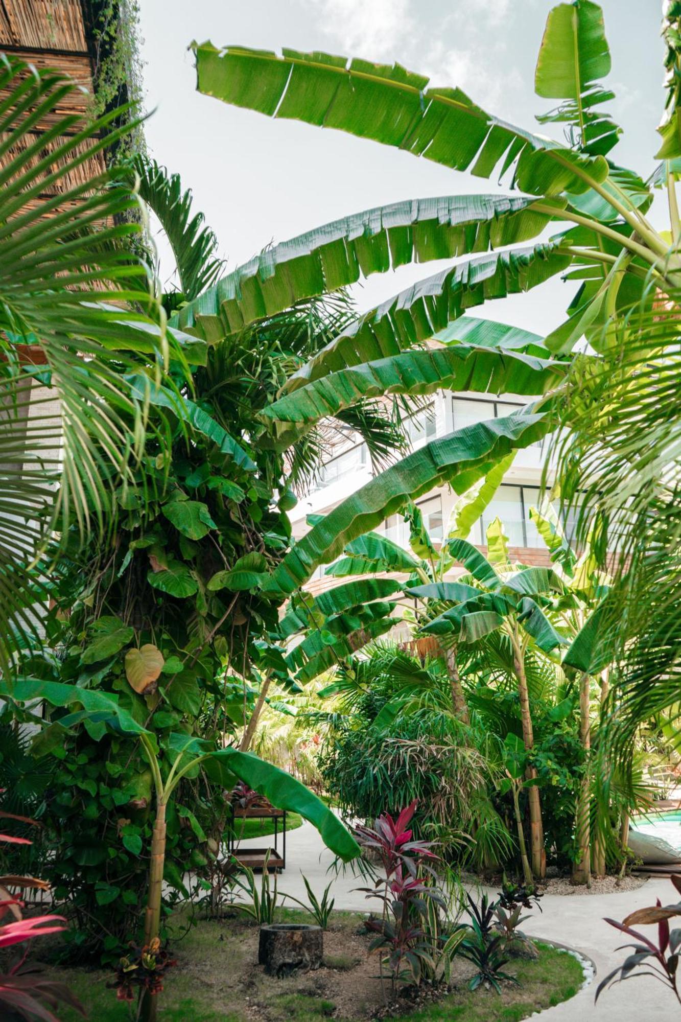 Kinah Retreat - Exclusive Boho Tropical Escape Apartment Tulum Exterior photo